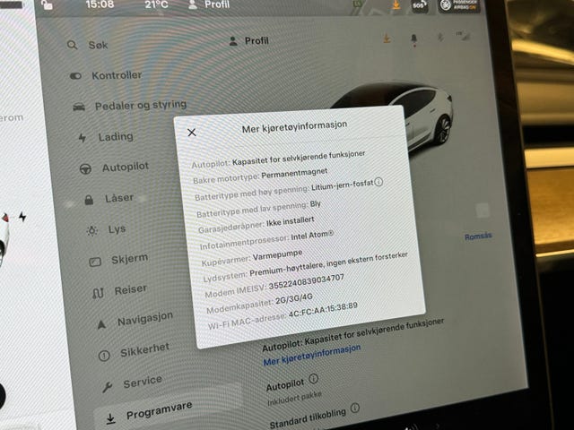 2021 TESLA MODEL 3 - 19