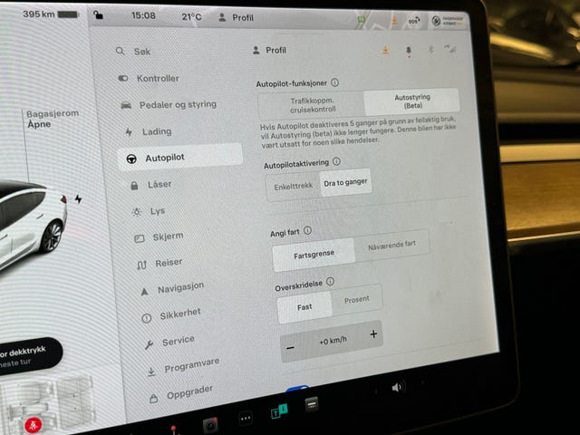 2021 TESLA MODEL 3 - 17