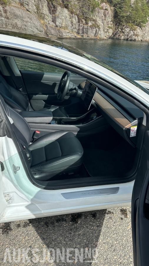 2019 TESLA MODEL 3 - 15