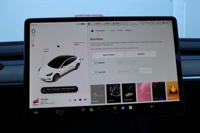 2021 TESLA MODEL 3 - 14