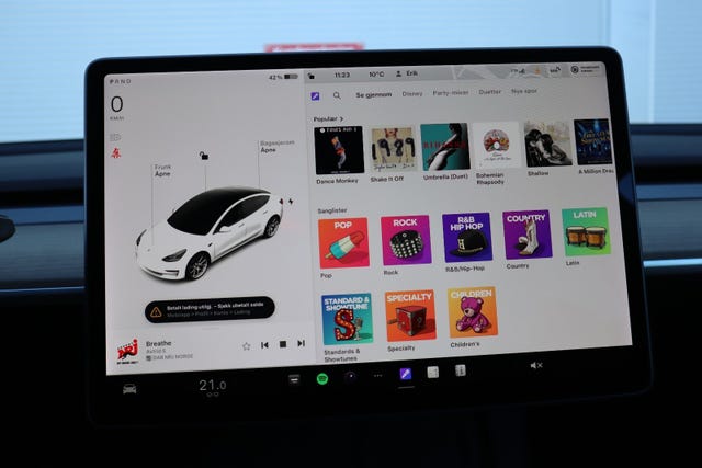 2021 TESLA MODEL 3 - 13