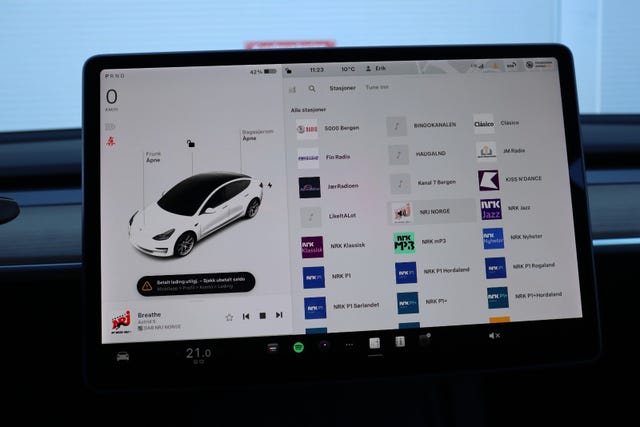 2021 TESLA MODEL 3 - 12