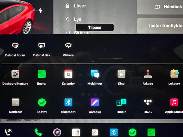 2021 TESLA MODEL 3 - 17