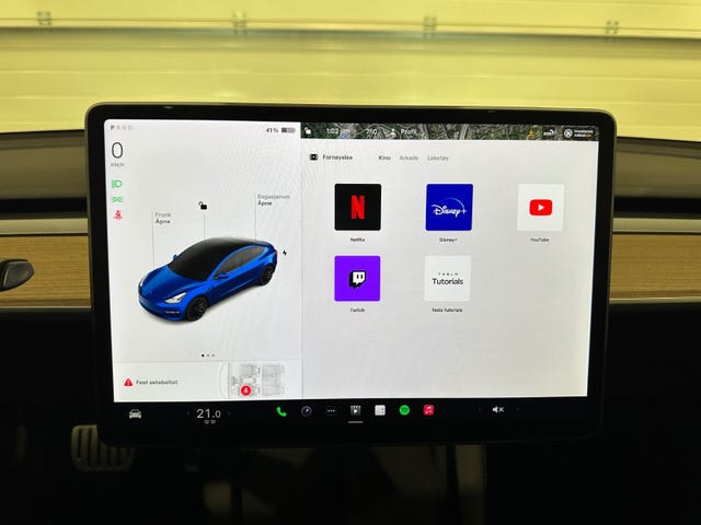 2021 TESLA MODEL 3 - 19