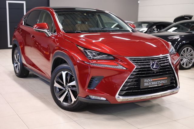 JTJBJRBZ702093266 2018 LEXUS NX 300H-3