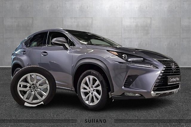 2021 LEXUS NX 300H - 19