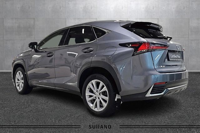 2021 LEXUS NX 300H - 3