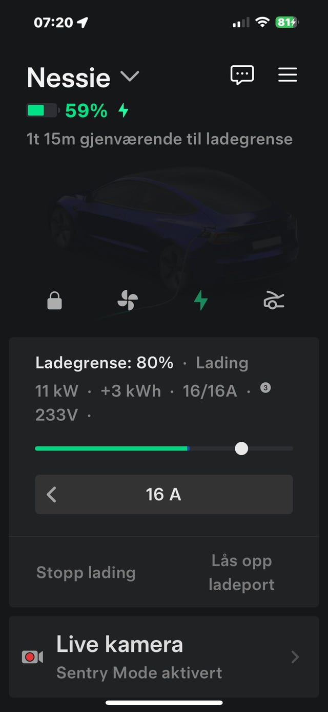 2021 TESLA MODEL 3 - 33