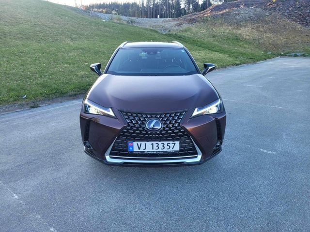 JTHU95BH602005942 2019 LEXUS UX-4