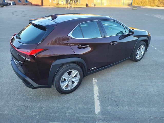 2019 LEXUS UX - 6