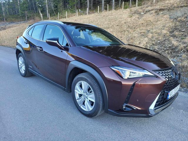 JTHU95BH602005942 2019 LEXUS UX-0