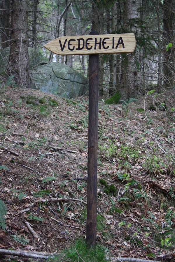 Nydelig topp bak huset med panoramautsikt over sjøen og øya Galleribilde