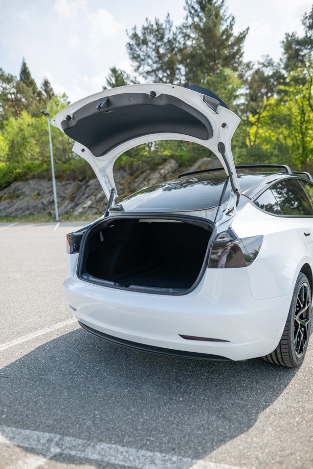 2021 TESLA MODEL 3 - 15