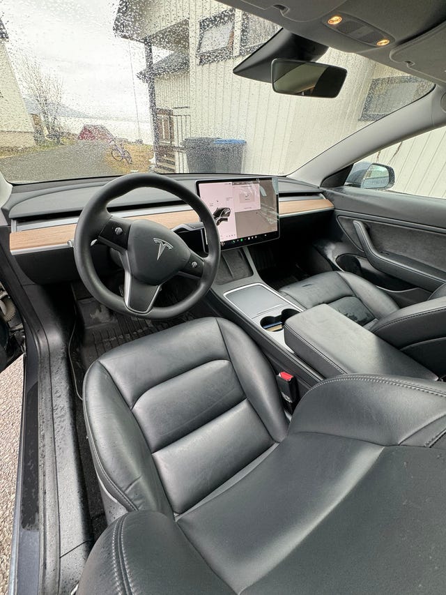 2021 TESLA MODEL 3 - 11