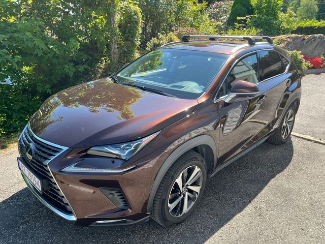 2018 LEXUS NX 300H - 1