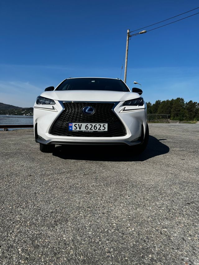 2015 LEXUS NX 300H - 3