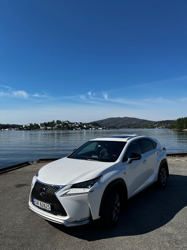 2015 LEXUS NX 300H - 6