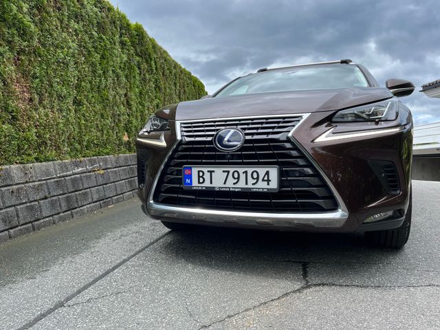 2018 LEXUS NX 300H - 6