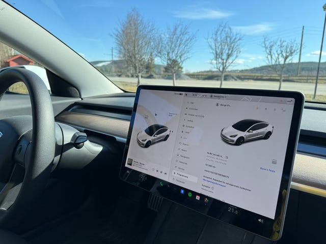 2021 TESLA MODEL 3 - 13