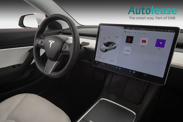 2021 TESLA MODEL 3 - 22