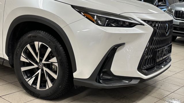 2023 LEXUS NX 450H - 15