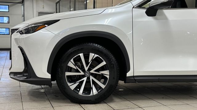 2023 LEXUS NX 450H - 9