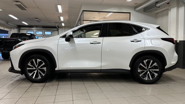 2023 LEXUS NX 450H - 10