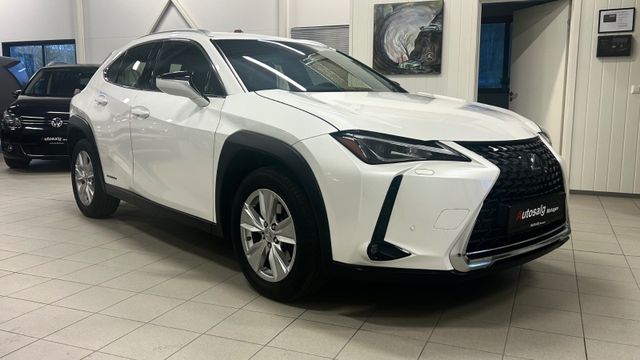 2019 LEXUS UX - 5