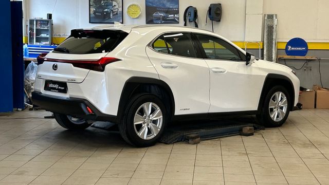 2019 LEXUS UX - 6