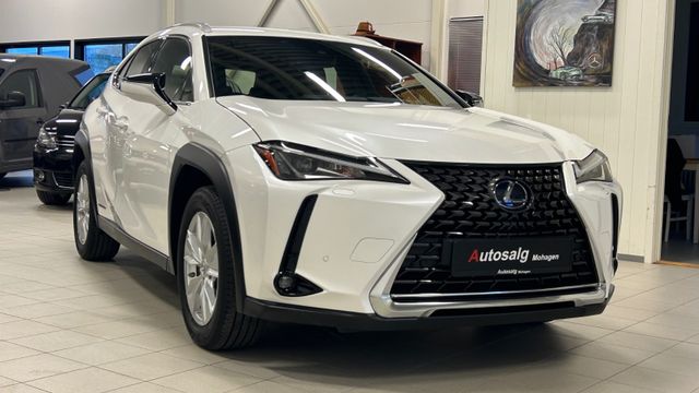 JTHY65BH802004897 2019 LEXUS UX-3