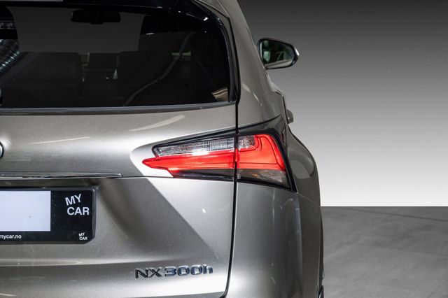 2015 LEXUS NX 300H - 9