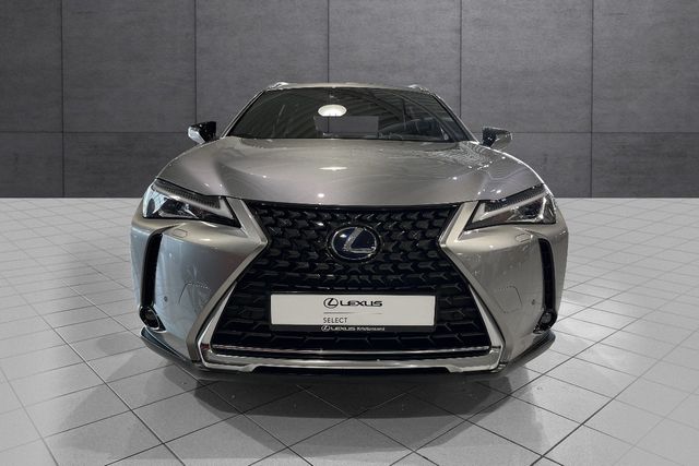 2022 LEXUS UX - 8