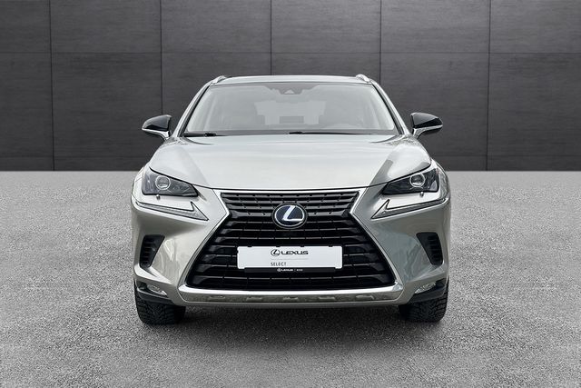 JTJBJRBZ202133270 2019 LEXUS NX 300H-2