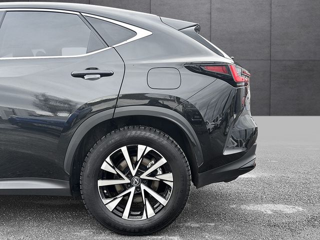 2022 LEXUS NX 450H - 12