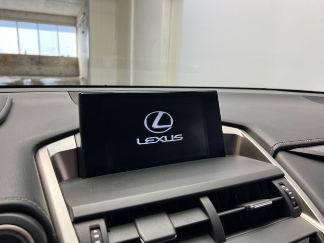 2015 LEXUS NX 300H - 10