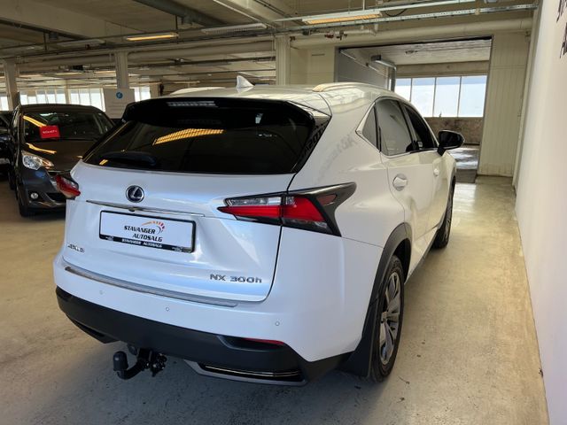 2015 LEXUS NX 300H - 5