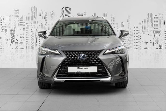 JTHU95BH702019932 2020 LEXUS UX-1