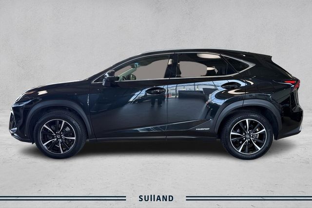 2019 LEXUS NX 300H - 2