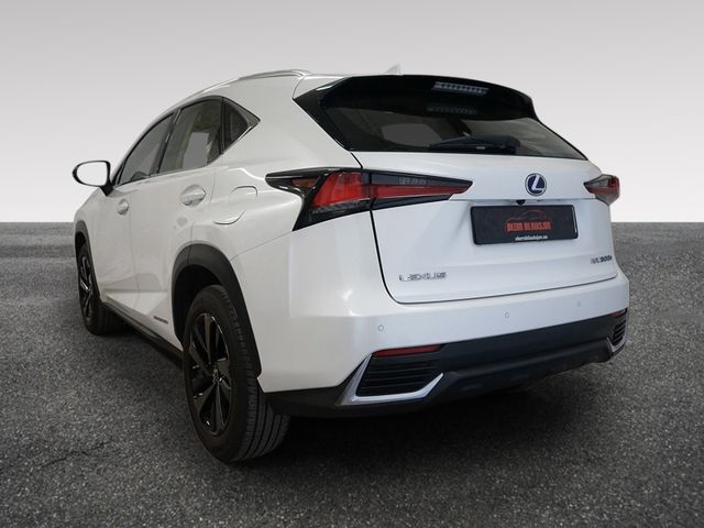 2019 LEXUS NX 300H - 7