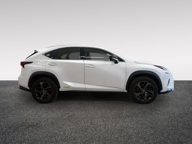 JTJBJRBZ102129338 2019 LEXUS NX 300H-4