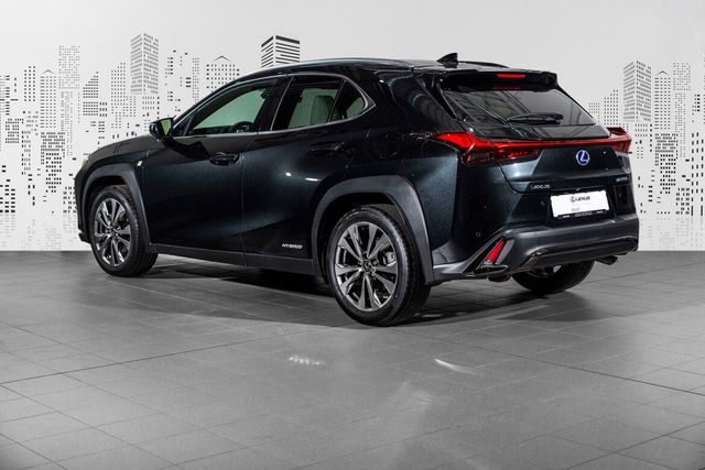 JTHU95BH802017624 2019 LEXUS UX-4