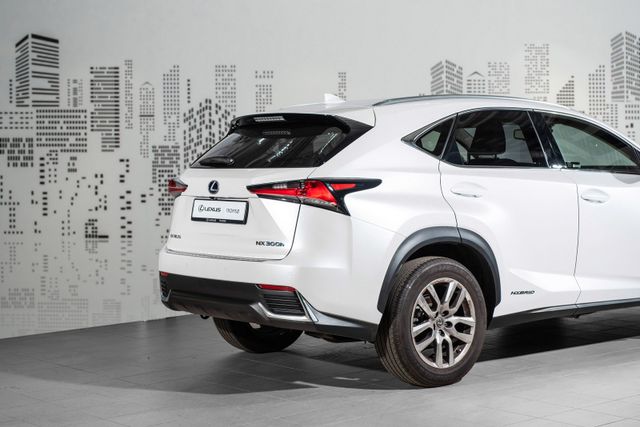 2021 LEXUS NX 300H - 6