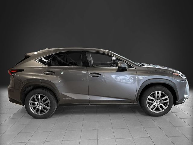 2020 LEXUS NX 300H - 8