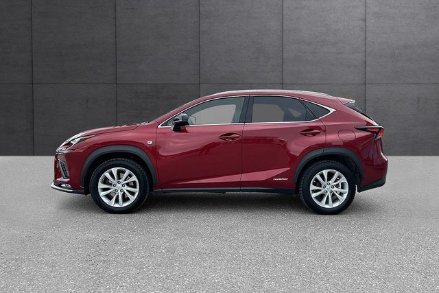 2018 LEXUS NX 300H - 10