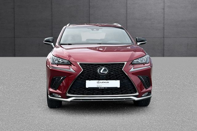 JTJBJRBZ702092523 2018 LEXUS NX 300H-3