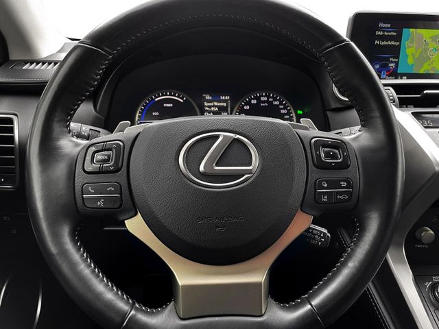 2019 LEXUS NX 300H - 13