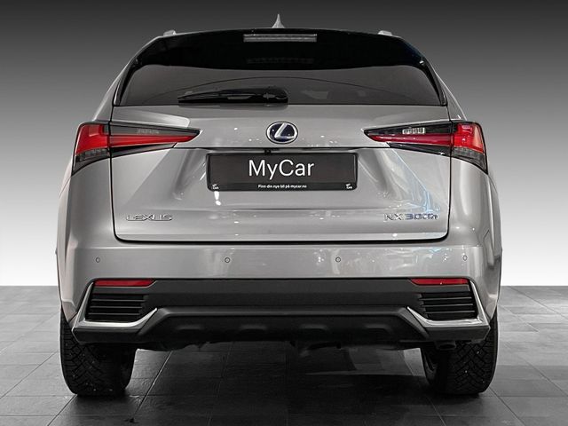 JTJBJRBZ702132227 2019 LEXUS NX 300H-4