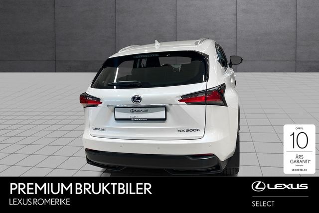 JTJBJRBZ302062905 2017 LEXUS NX 300H-3