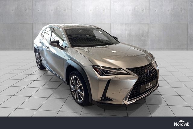 2021 LEXUS UX - 7