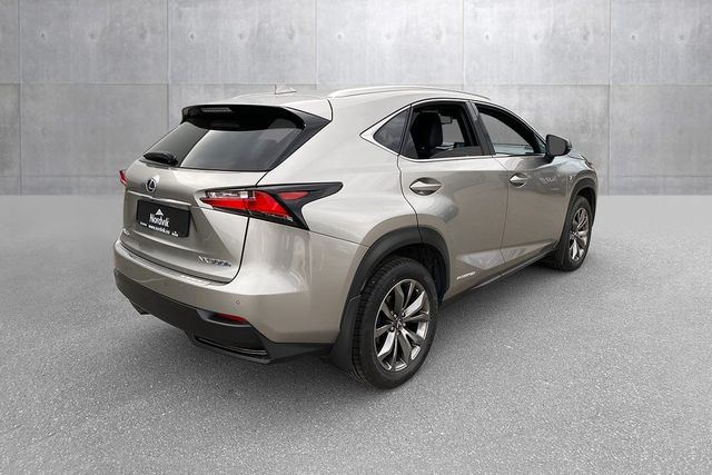 JTJBJRBZ302002400 2015 LEXUS NX 300H-4